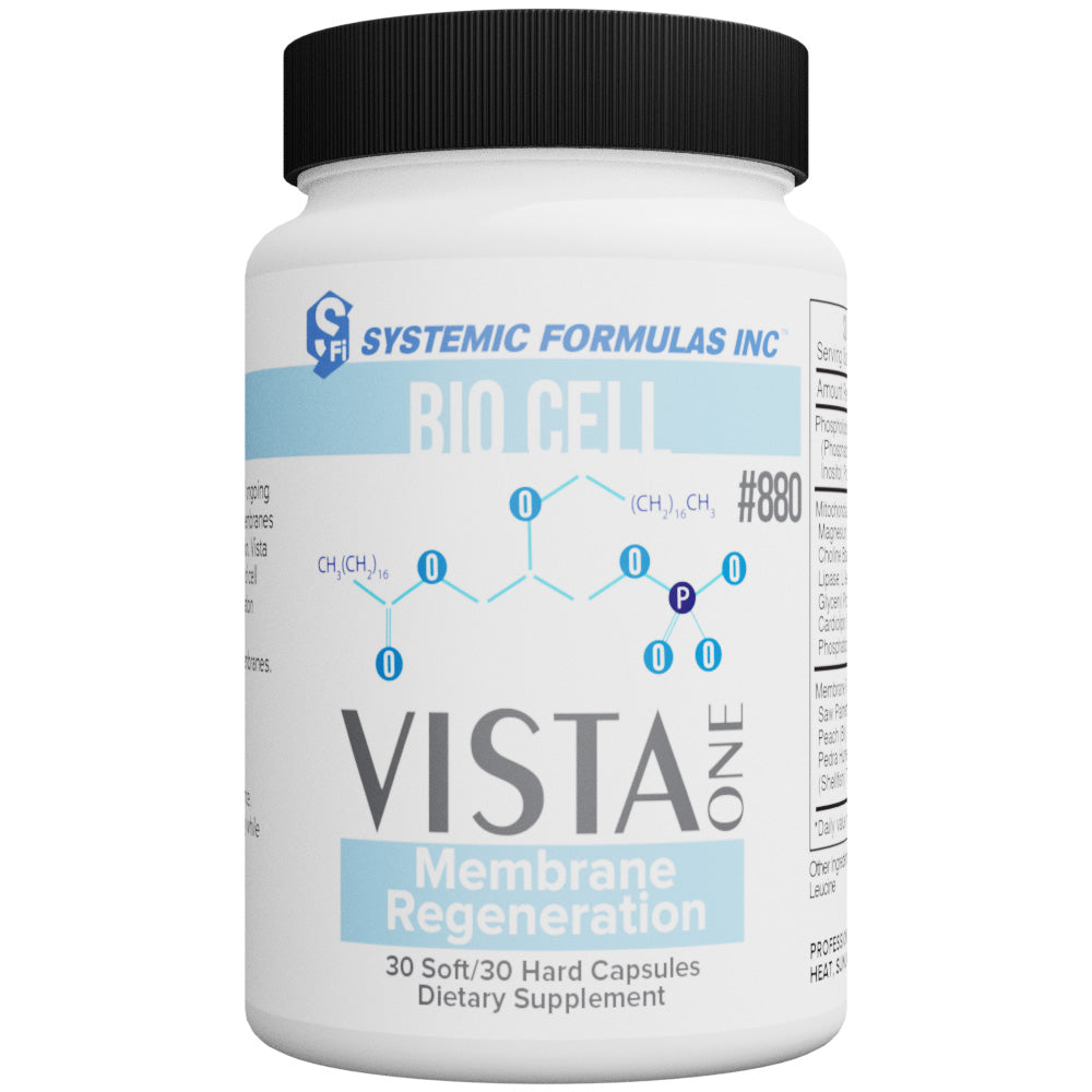 VistaOne - Membrane Regeneration