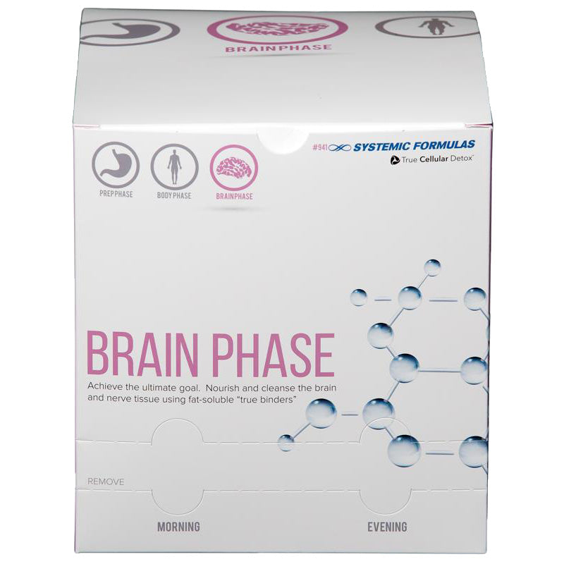 Brain Phase Box Only