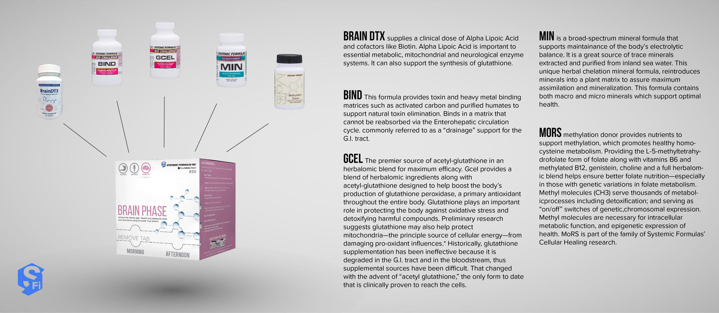 Brain Phase Box Only