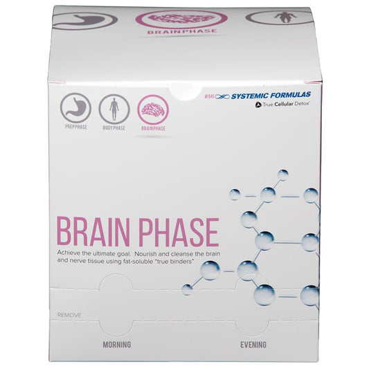 Brain Phase Box Only